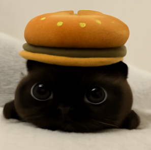 $png Burger